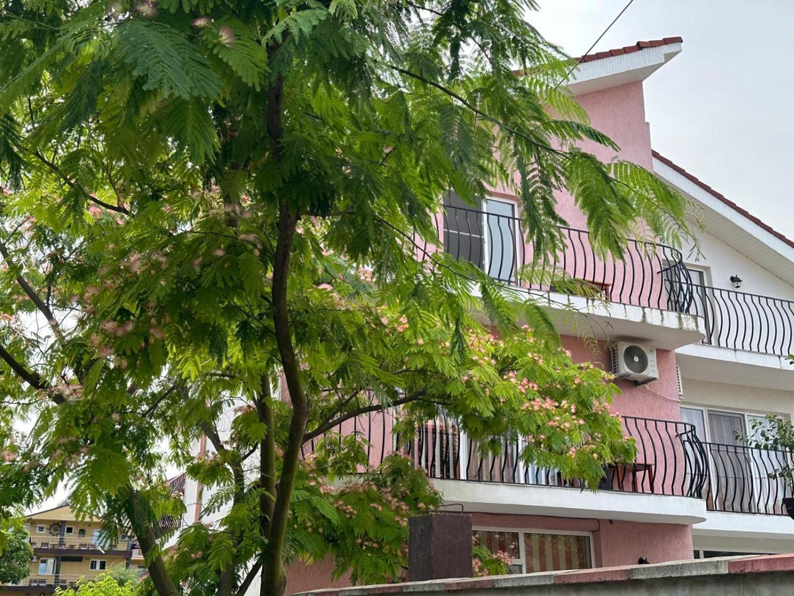 Vila Lucy Costinesti Hotel ภายนอก รูปภาพ