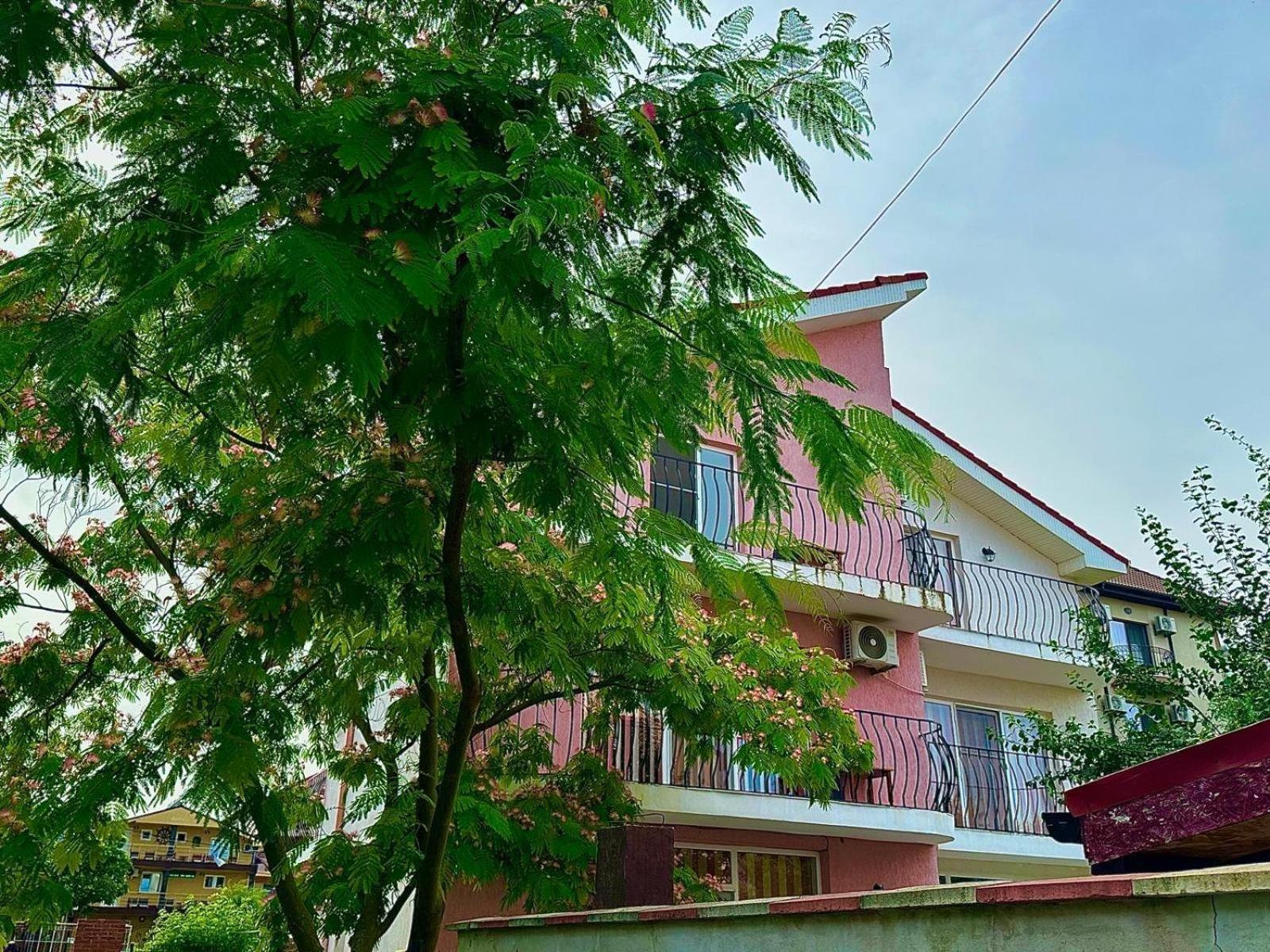 Vila Lucy Costinesti Hotel ภายนอก รูปภาพ